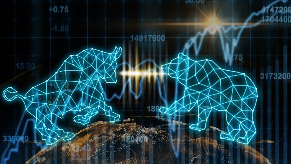 A stock image of a wireframe bear and bull.