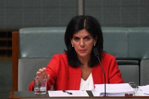 Then Liberal MP Julia Banks claimed she could live off the payment. Photo: AAP