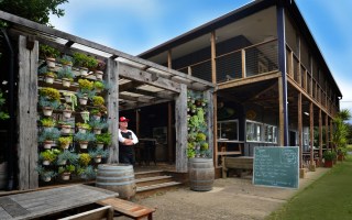 boogie woogie beach house