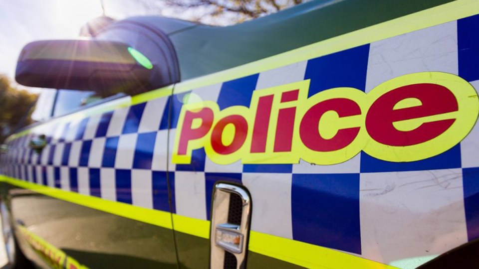 police stabbing torquay