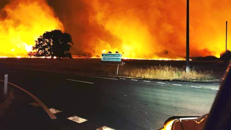 bushfires