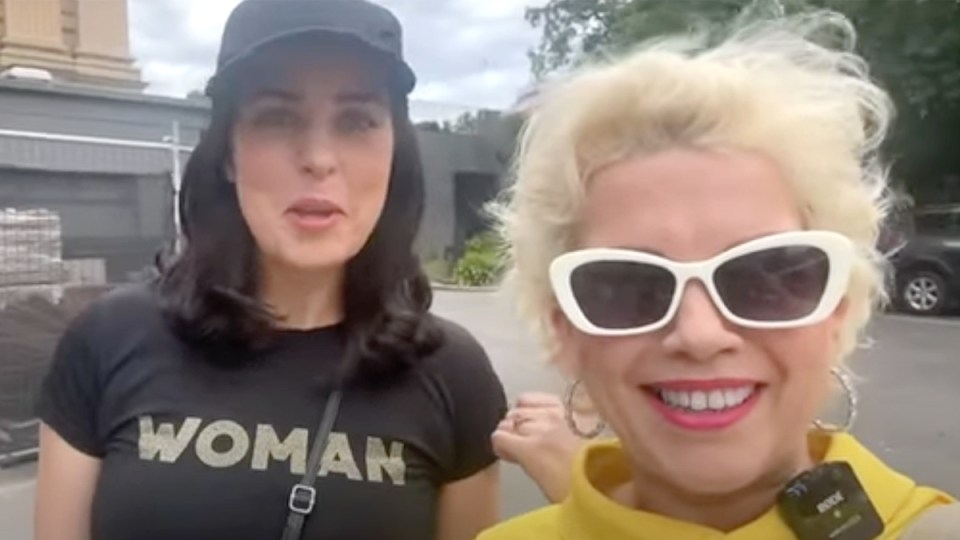 Liberal Party challenge