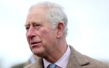 prince charles coronavirus