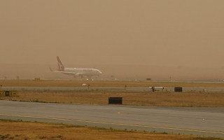 canberra airport fire beekeepers