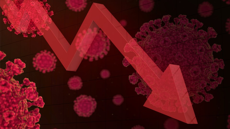 virus bushfires economy