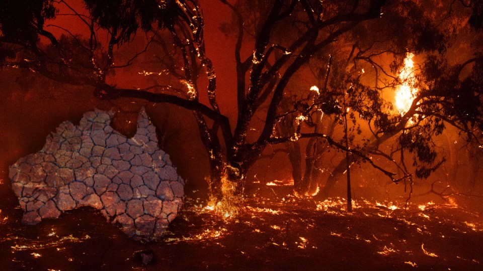 bushfire royal commission