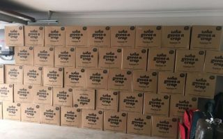 toilet rolls mass family