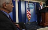 anthony fauci donald trump