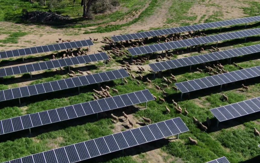 energy plan coalition