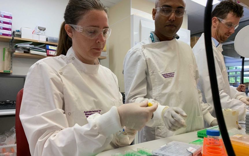 queensland csl virus vaccine