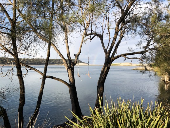 lockdown travel virus lesson