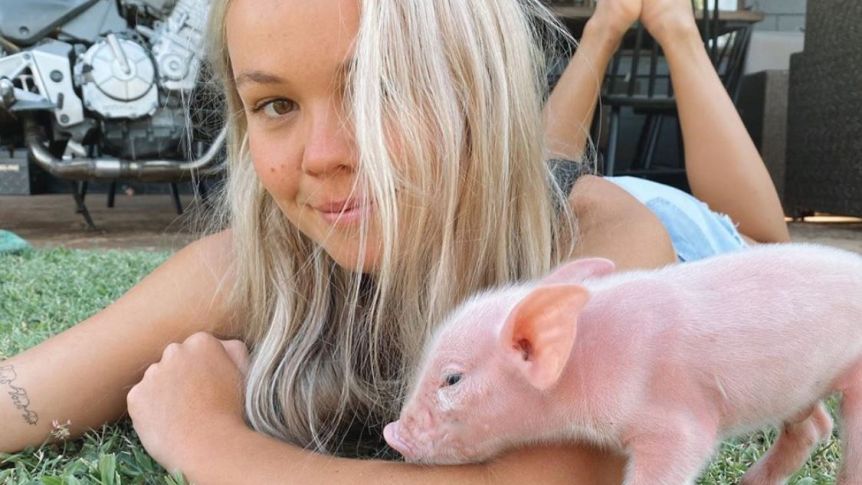 lauren mcgeachin vegan piglet