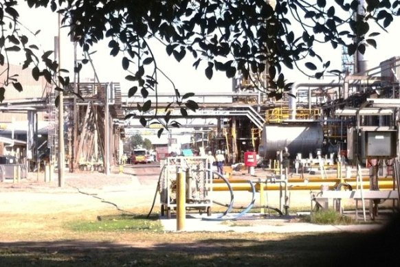 newcastle beirut ammonium