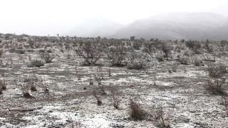snow wilpena pound rain