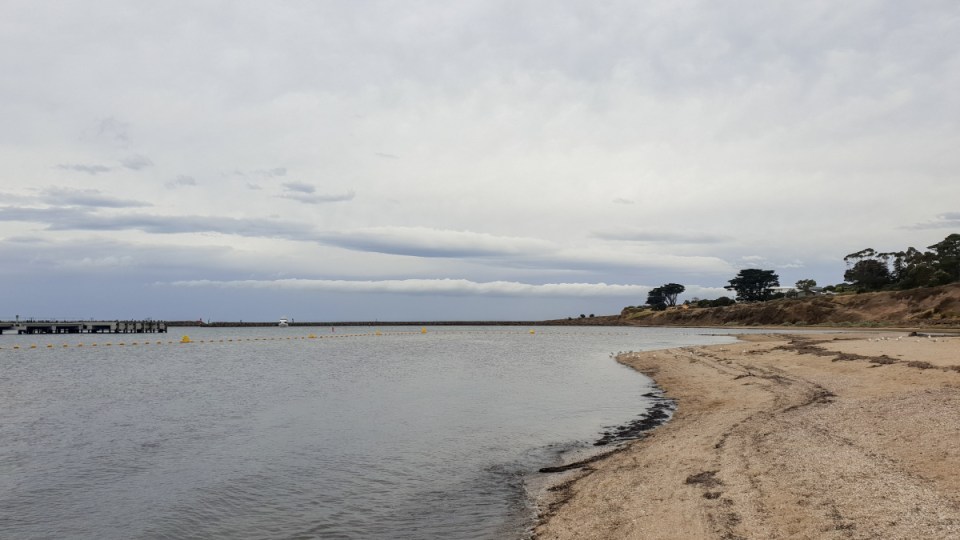 toddler drown portarlington