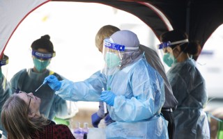 nsw virus local cases