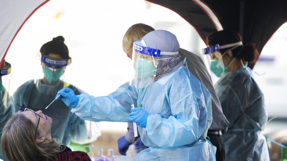 nsw virus local cases