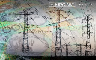 The 2020 Federal Budget did not invest enough into renewable energy.