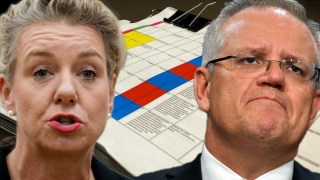 Coalition sports rorts