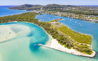 noosa population growth