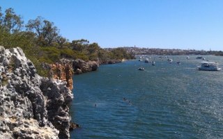 shark attack swan river