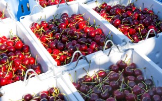 cherries australia china
