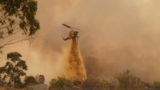woroloo fire perth