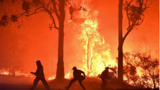 Black Summer climate change