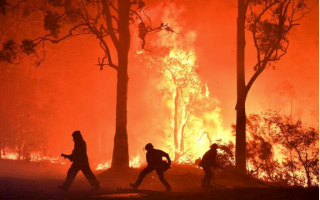 Black Summer climate change