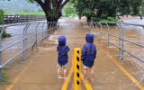 fnq floods