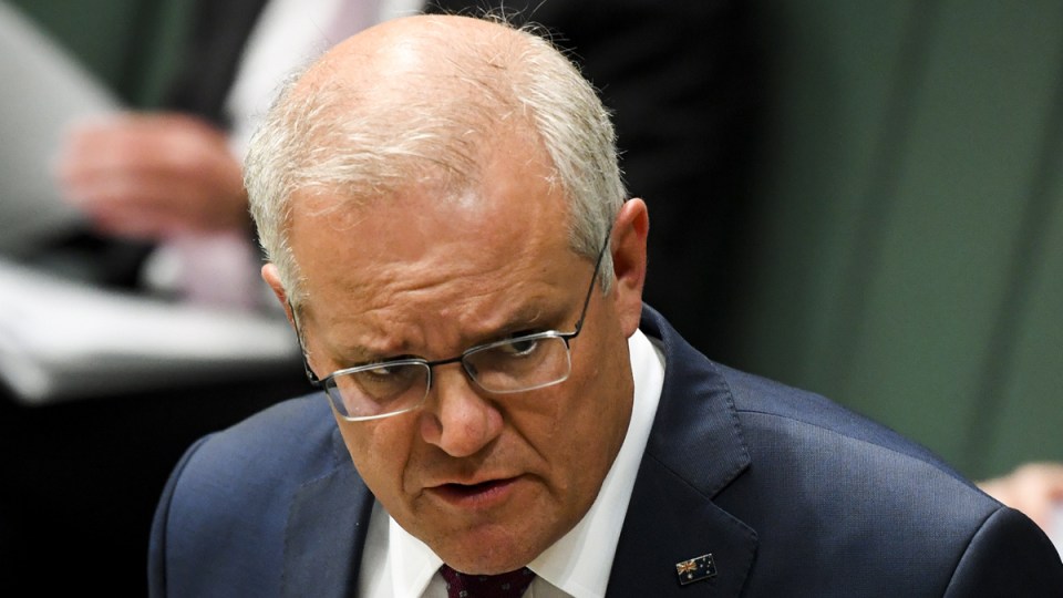 scott morrison qanon