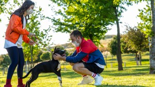 nsw restrictions rule changes