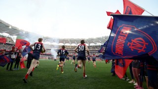AFL Demons