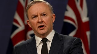anthony albanese election