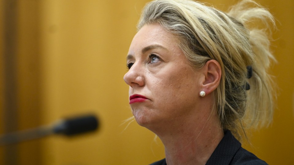 flood Bridget McKenzie