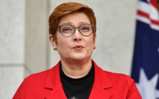 Marise Payne Robodebt
