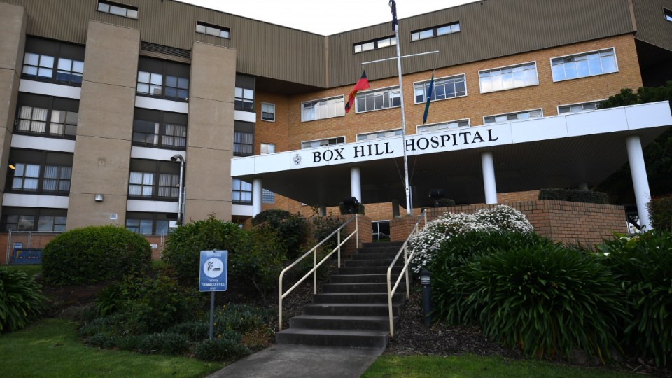 jill dempsey nurse covid