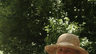 COVID-19 jack jumper ants