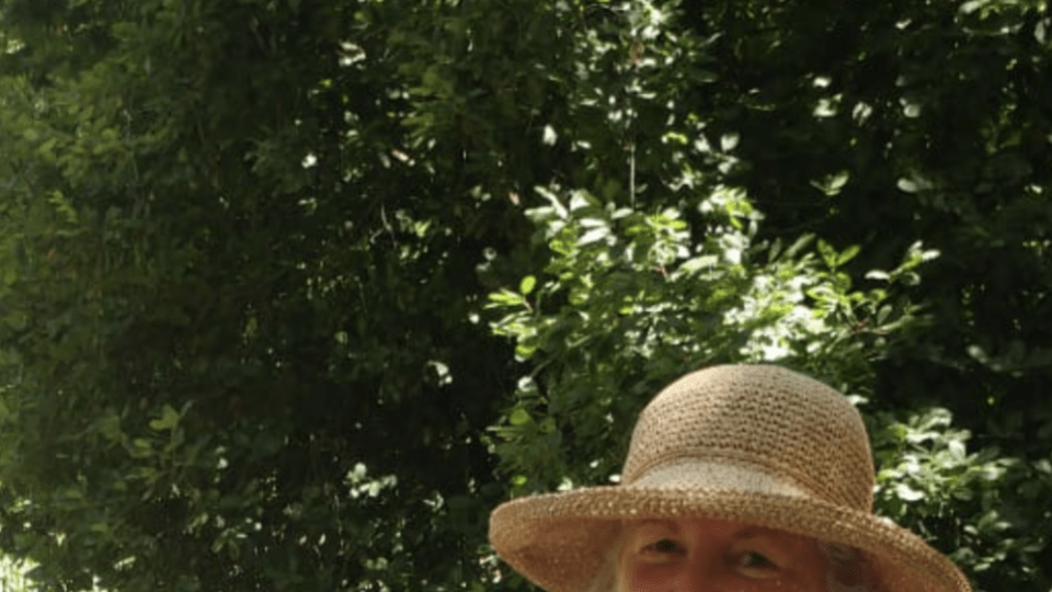 COVID-19 jack jumper ants