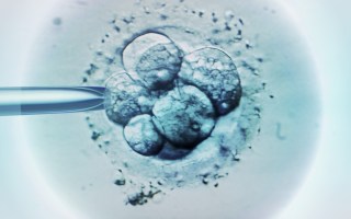 IVF petition