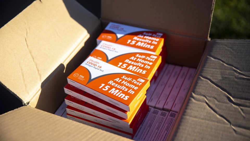 rapid test theft melbourne