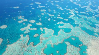 Great Barrier Reef bleaching