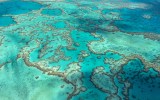 Great Barrier Reef bleaching