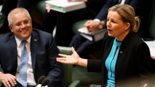 sussan ley preselection