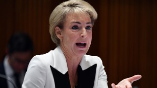 Michaelia Cash says the dark ages could be making a comeback.