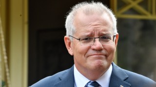 scott morrison