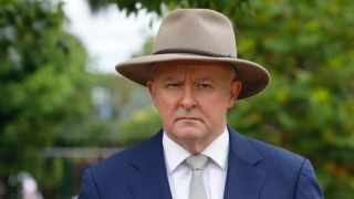 Labor Anthony Albanese