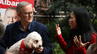 Mr Albanese had his dog Toto accompany him at his first post-election appearance.
