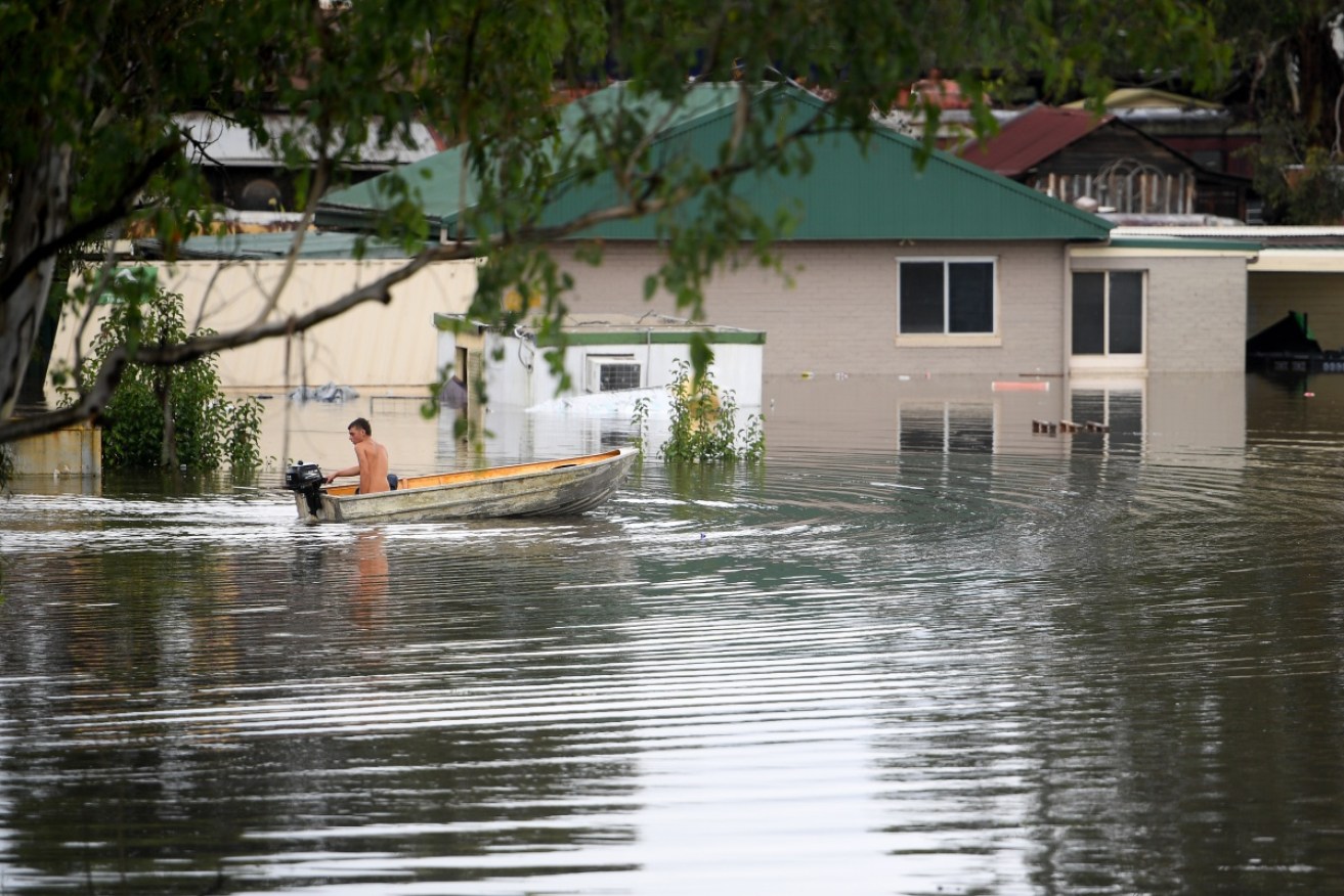 Tweed MP tells inquiry disaster agency ‘tried their best’ in NSW floods