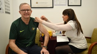 anthony albanese pandemic leave